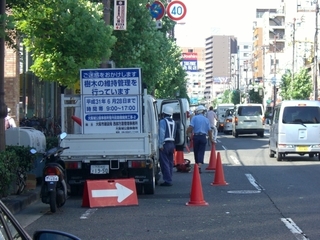CIMG5256.JPG