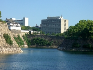 CIMG5310.JPG