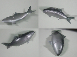 魚紳16.jpg