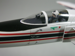 X-29 03.jpg